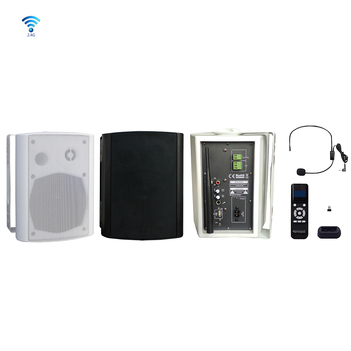 WS525GX 5¼" 2*30W 2.4G Wireless Wall Mount Speaker LY International