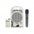 PP-116UR 35W Portable Wireless PA Amplifier with USB/FM/Recorder