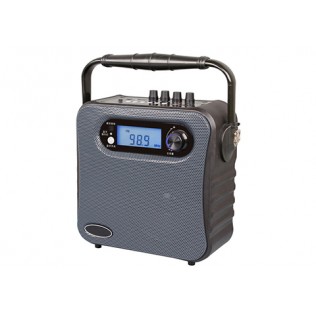 PP-336 Portable Wireless PA Amplifier with USB/SD/Recording/Bluetooth