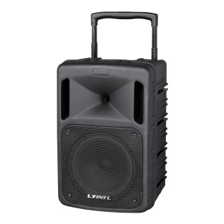 PP-710 10 Inch 300W Portable Wireless PA Trolley Speaker System  With USB/SD/FM/Bluetooth/Recorder/EQ