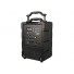 PP-722B Multi-functional Portable Wireless PA Amplifier (MP3/Tuner/USB/SD/Recording/Bluetooth)