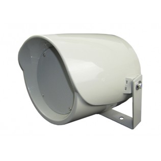 P-D30S 5" 30W ABS Unidirectional Projection Speaker